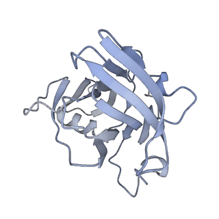 40220_8glv_3Y_v1-2
96-nm repeat unit of doublet microtubules from Chlamydomonas reinhardtii flagella