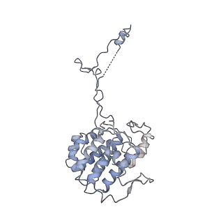 40220_8glv_3Z_v1-2
96-nm repeat unit of doublet microtubules from Chlamydomonas reinhardtii flagella