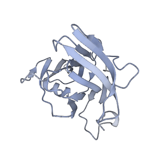 40220_8glv_4A_v1-2
96-nm repeat unit of doublet microtubules from Chlamydomonas reinhardtii flagella