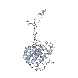 40220_8glv_4B_v1-2
96-nm repeat unit of doublet microtubules from Chlamydomonas reinhardtii flagella