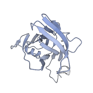 40220_8glv_4C_v1-2
96-nm repeat unit of doublet microtubules from Chlamydomonas reinhardtii flagella
