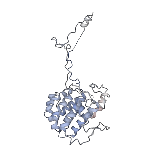 40220_8glv_4D_v1-2
96-nm repeat unit of doublet microtubules from Chlamydomonas reinhardtii flagella