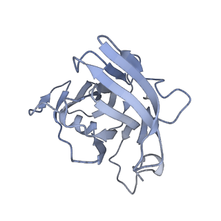 40220_8glv_4E_v1-2
96-nm repeat unit of doublet microtubules from Chlamydomonas reinhardtii flagella