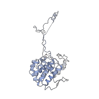40220_8glv_4F_v1-2
96-nm repeat unit of doublet microtubules from Chlamydomonas reinhardtii flagella
