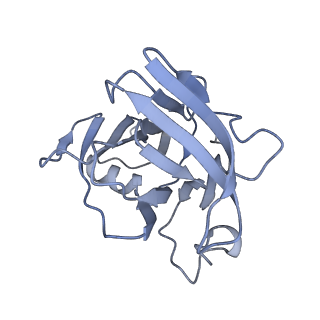 40220_8glv_4G_v1-2
96-nm repeat unit of doublet microtubules from Chlamydomonas reinhardtii flagella