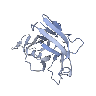 40220_8glv_4I_v1-2
96-nm repeat unit of doublet microtubules from Chlamydomonas reinhardtii flagella