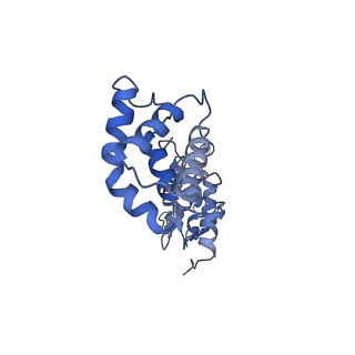 40220_8glv_5E_v1-2
96-nm repeat unit of doublet microtubules from Chlamydomonas reinhardtii flagella