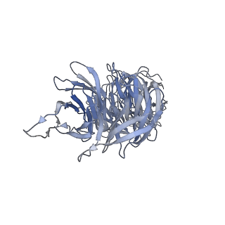 40220_8glv_5L_v1-2
96-nm repeat unit of doublet microtubules from Chlamydomonas reinhardtii flagella