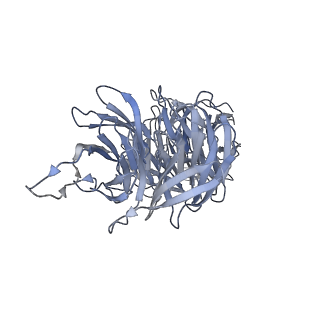 40220_8glv_5M_v1-2
96-nm repeat unit of doublet microtubules from Chlamydomonas reinhardtii flagella