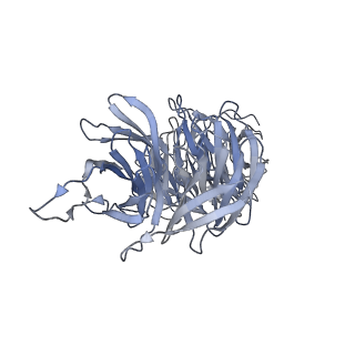 40220_8glv_5N_v1-2
96-nm repeat unit of doublet microtubules from Chlamydomonas reinhardtii flagella