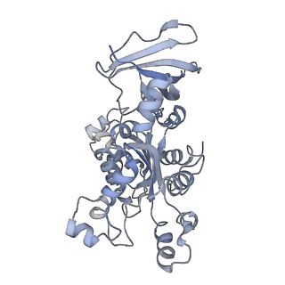 40220_8glv_5P_v1-2
96-nm repeat unit of doublet microtubules from Chlamydomonas reinhardtii flagella