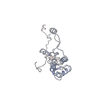 40220_8glv_5Q_v1-2
96-nm repeat unit of doublet microtubules from Chlamydomonas reinhardtii flagella