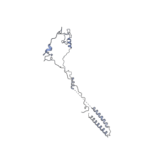 40220_8glv_5S_v1-2
96-nm repeat unit of doublet microtubules from Chlamydomonas reinhardtii flagella