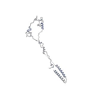 40220_8glv_5T_v1-2
96-nm repeat unit of doublet microtubules from Chlamydomonas reinhardtii flagella