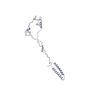 40220_8glv_5U_v1-2
96-nm repeat unit of doublet microtubules from Chlamydomonas reinhardtii flagella