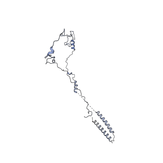 40220_8glv_5V_v1-2
96-nm repeat unit of doublet microtubules from Chlamydomonas reinhardtii flagella