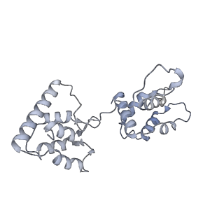 40220_8glv_5X_v1-2
96-nm repeat unit of doublet microtubules from Chlamydomonas reinhardtii flagella