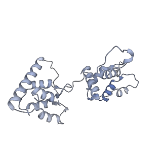40220_8glv_5Y_v1-2
96-nm repeat unit of doublet microtubules from Chlamydomonas reinhardtii flagella