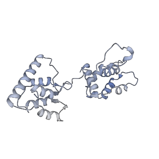 40220_8glv_5Z_v1-2
96-nm repeat unit of doublet microtubules from Chlamydomonas reinhardtii flagella