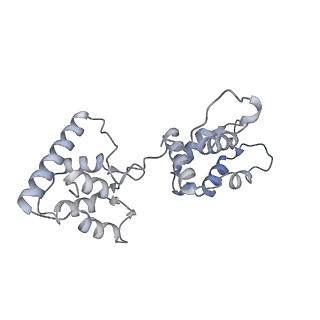 40220_8glv_6A_v1-2
96-nm repeat unit of doublet microtubules from Chlamydomonas reinhardtii flagella