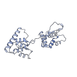 40220_8glv_6B_v1-2
96-nm repeat unit of doublet microtubules from Chlamydomonas reinhardtii flagella