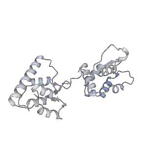 40220_8glv_6C_v1-2
96-nm repeat unit of doublet microtubules from Chlamydomonas reinhardtii flagella
