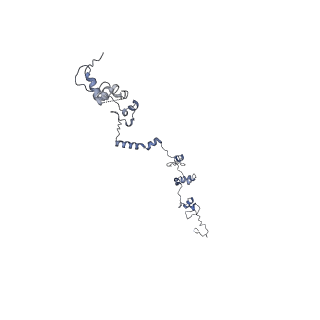 40220_8glv_6E_v1-2
96-nm repeat unit of doublet microtubules from Chlamydomonas reinhardtii flagella