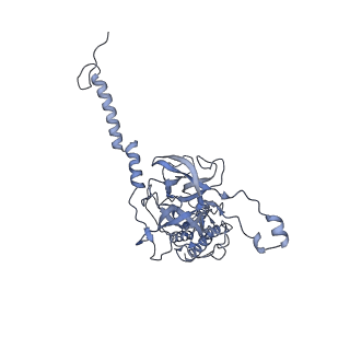 40220_8glv_6F_v1-2
96-nm repeat unit of doublet microtubules from Chlamydomonas reinhardtii flagella