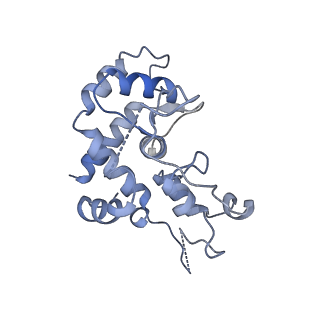 40220_8glv_6G_v1-2
96-nm repeat unit of doublet microtubules from Chlamydomonas reinhardtii flagella
