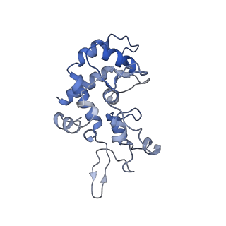 40220_8glv_6H_v1-2
96-nm repeat unit of doublet microtubules from Chlamydomonas reinhardtii flagella
