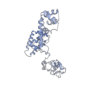 40220_8glv_6I_v1-2
96-nm repeat unit of doublet microtubules from Chlamydomonas reinhardtii flagella