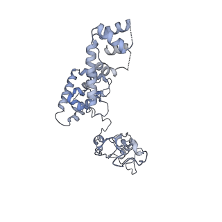 40220_8glv_6J_v1-2
96-nm repeat unit of doublet microtubules from Chlamydomonas reinhardtii flagella