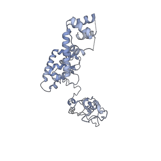 40220_8glv_6L_v1-2
96-nm repeat unit of doublet microtubules from Chlamydomonas reinhardtii flagella