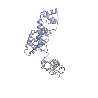 40220_8glv_6M_v1-2
96-nm repeat unit of doublet microtubules from Chlamydomonas reinhardtii flagella