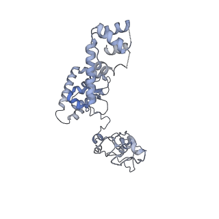 40220_8glv_6O_v1-2
96-nm repeat unit of doublet microtubules from Chlamydomonas reinhardtii flagella