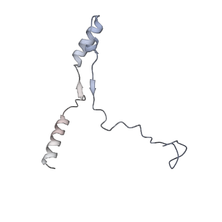 40220_8glv_6Q_v1-2
96-nm repeat unit of doublet microtubules from Chlamydomonas reinhardtii flagella