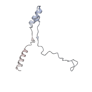 40220_8glv_6S_v1-2
96-nm repeat unit of doublet microtubules from Chlamydomonas reinhardtii flagella