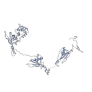 40220_8glv_6T_v1-2
96-nm repeat unit of doublet microtubules from Chlamydomonas reinhardtii flagella