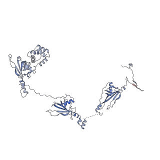 40220_8glv_6V_v1-2
96-nm repeat unit of doublet microtubules from Chlamydomonas reinhardtii flagella
