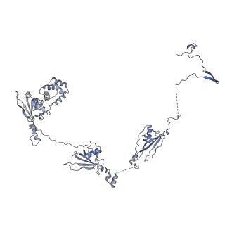 40220_8glv_6W_v1-2
96-nm repeat unit of doublet microtubules from Chlamydomonas reinhardtii flagella