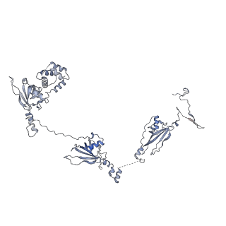 40220_8glv_6X_v1-2
96-nm repeat unit of doublet microtubules from Chlamydomonas reinhardtii flagella