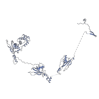 40220_8glv_6Y_v1-2
96-nm repeat unit of doublet microtubules from Chlamydomonas reinhardtii flagella
