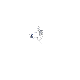 40220_8glv_7B_v1-2
96-nm repeat unit of doublet microtubules from Chlamydomonas reinhardtii flagella