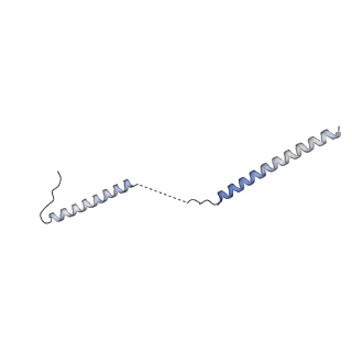 40220_8glv_7C_v1-2
96-nm repeat unit of doublet microtubules from Chlamydomonas reinhardtii flagella
