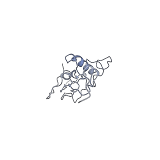 40220_8glv_7D_v1-2
96-nm repeat unit of doublet microtubules from Chlamydomonas reinhardtii flagella