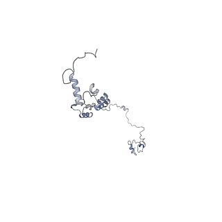 40220_8glv_7G_v1-2
96-nm repeat unit of doublet microtubules from Chlamydomonas reinhardtii flagella