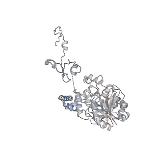 40220_8glv_7H_v1-2
96-nm repeat unit of doublet microtubules from Chlamydomonas reinhardtii flagella