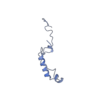 40220_8glv_7Q_v1-2
96-nm repeat unit of doublet microtubules from Chlamydomonas reinhardtii flagella