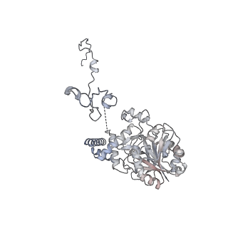 40220_8glv_7X_v1-2
96-nm repeat unit of doublet microtubules from Chlamydomonas reinhardtii flagella