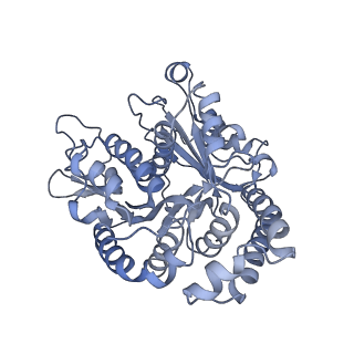 40220_8glv_8F_v1-2
96-nm repeat unit of doublet microtubules from Chlamydomonas reinhardtii flagella